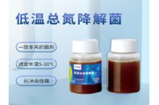 反硝化細菌在污水處理中的具體應用是什么？